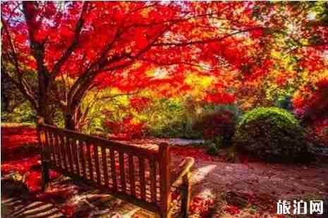 四月澳大利亚季节 四月澳大利亚旅游攻略 四月澳大利亚季节 四月澳大利亚旅游攻略