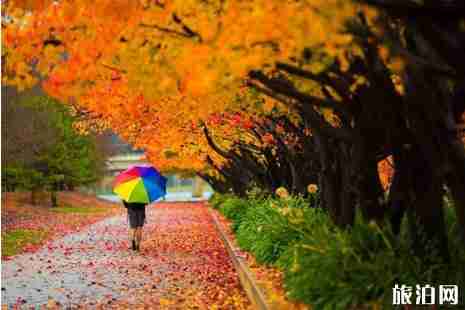四月澳大利亚季节 四月澳大利亚旅游攻略 四月澳大利亚季节 四月澳大利亚旅游攻略