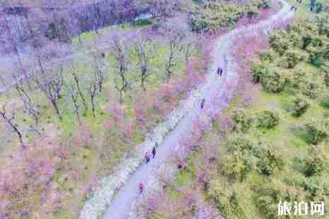上海遛娃好去处推荐 上海遛娃好去处推荐