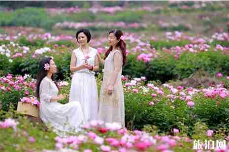 2019四川中江玉兴镇凡龙花千谷赏花节汉服活动 2019四川中江玉兴镇凡龙花千谷赏花节汉服活动