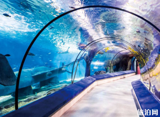 2019福州罗源湾海洋世界门票价格+优惠政策 2019福州罗源湾海洋世界门票价格+优惠政策
