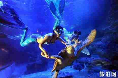2019福州左海海底世界门票+优惠政策+交通 2019福州左海海底世界门票+优惠政策+交通