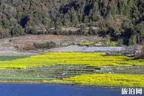 德宏陇川有什么好玩的