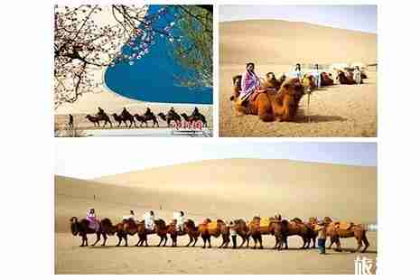 2019敦煌李广杏花节时间 附活动时间安排 2019敦煌李广杏花节时间 附活动时间安排