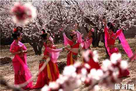 2019敦煌李广杏花节时间 附活动时间安排 2019敦煌李广杏花节时间 附活动时间安排