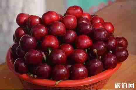 2019通州樱桃采摘时间+采摘园地址