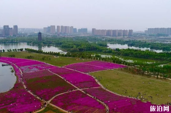 长沙哪里赏花最好 长沙周边赏花攻略