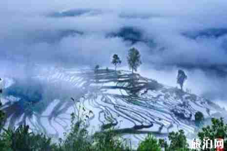 2019年五月有什么节日吗 2019年五月有什么节日吗