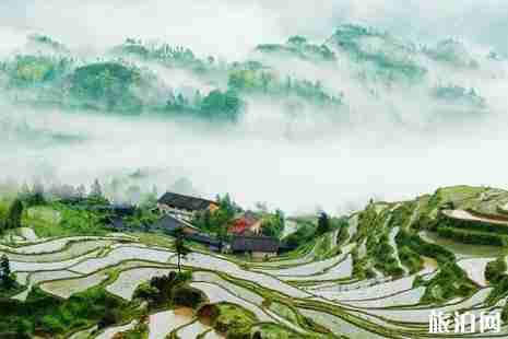 2019年四月去丽水旅游景点推荐