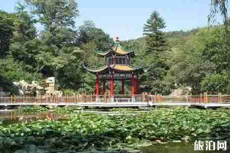 2019年辽宁观鸟地方推荐