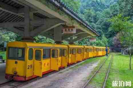 2019年四月去丽水旅游景点推荐