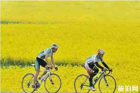 浙江骑行绿道推荐