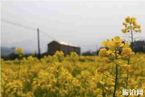 浙江骑行绿道推荐