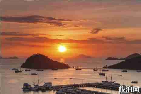 巴拿馬電子簽證開放+辦理條件 巴拿馬旅游攻略游記