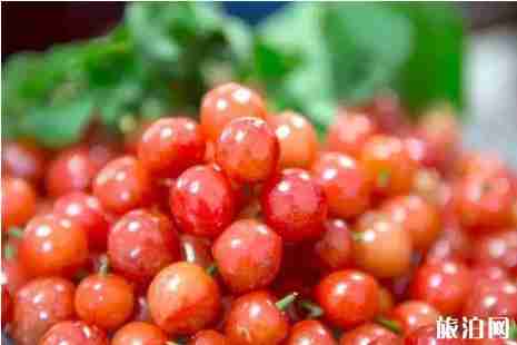 昆明周邊櫻桃采摘攻略2019 昆明周邊櫻桃采摘攻略2019