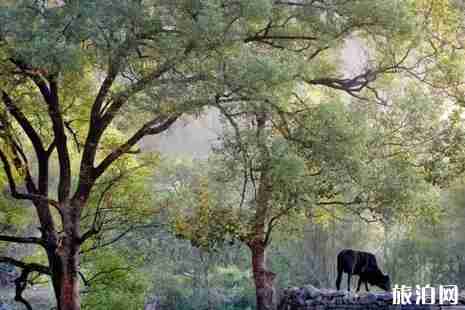 古鎮(zhèn)旅游路線整理