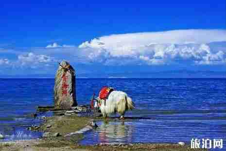 青甘大環線多少公里 青甘大環線一日游景點攻略