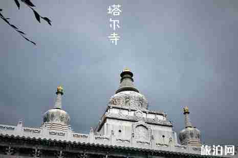 青甘大環線路線圖 青甘大環線三日游路線攻略 青甘大環線路線圖 青甘大環線三日游路線攻略