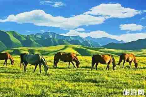 青甘大環線路線圖 青甘大環線三日游路線攻略 青甘大環線路線圖 青甘大環線三日游路線攻略