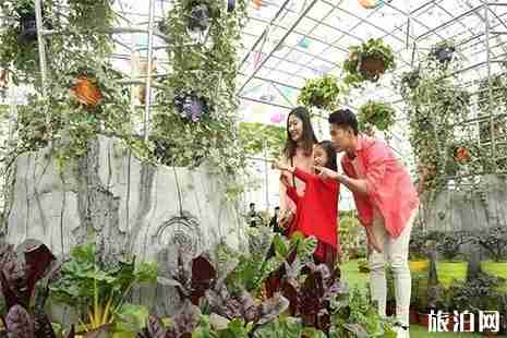 佛山盈香生態(tài)園玩水攻略 附門票信息