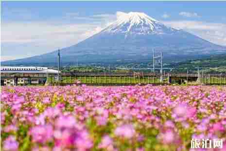 日本文化遺產有哪些