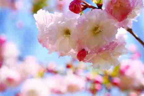 彭州葛仙山門票 彭州葛仙山有什么好玩的 彭州葛仙山門票 彭州葛仙山有什么好玩的