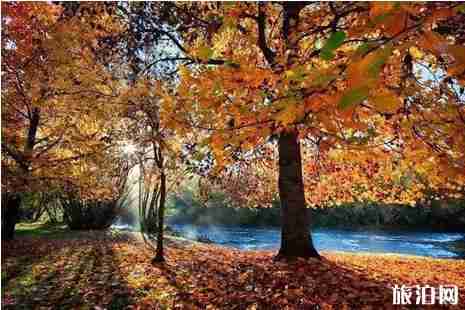 悉尼的秋天在幾月 悉尼秋天攻略