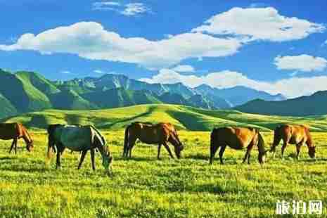 青甘大環線六日游攻略