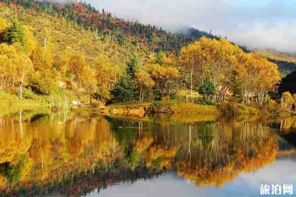 普达措国家公园好玩吗 普达措国家公园攻略 普达措国家公园好玩吗 普达措国家公园攻略