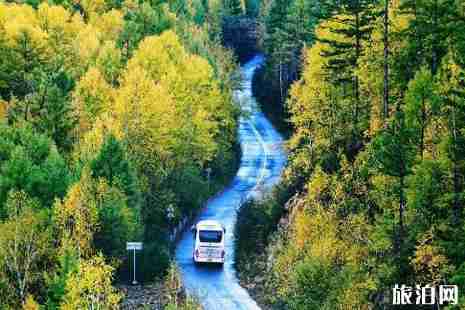 五一去呼伦贝尔大草原怎么样 五一去呼伦贝尔大草原怎么样