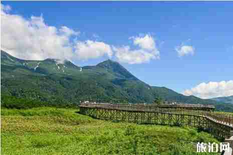 日本自然遗产有哪些 日本自然遗产有哪些