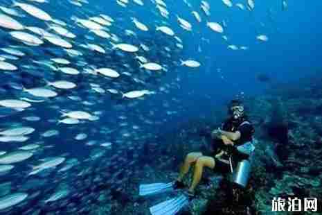 泰国潜水多少钱 泰国游艇多少钱