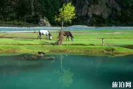 拉林高速全線通車時(shí)間 拉林高速沿途景點(diǎn)介紹