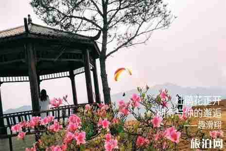 湖北滑翔傘哪里可以玩