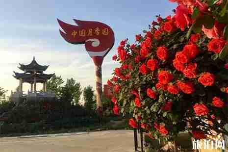 南阳世界月季大观园门票多少钱