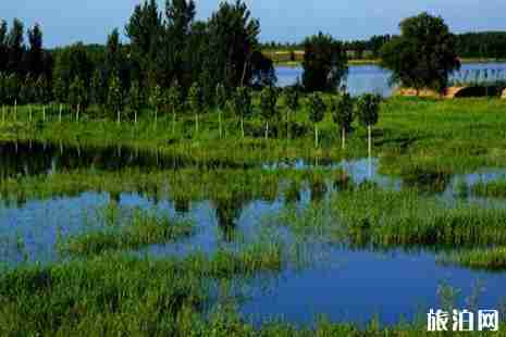 济西湿地公园五一开业 附门票信息 济西湿地公园五一开业 附门票信息