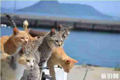 濑户内海旅游攻略2019 濑户内海旅游攻略2019