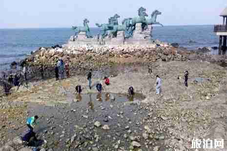 烟台赶海的地方在哪里