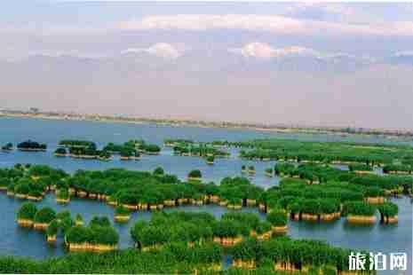 2019五一宁夏景区活动+优惠信息汇总