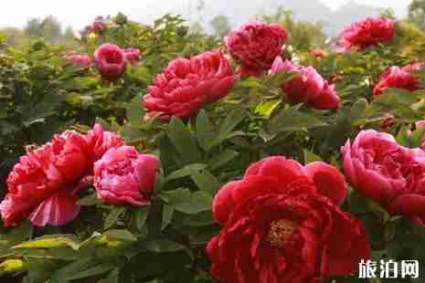 2019狼牙山景區(qū)開放了嗎 2019五一狼牙山景區(qū)旅游攻略