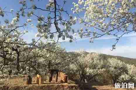 2019五一長春景區活動信息匯總 2019五一長春景區活動信息匯總