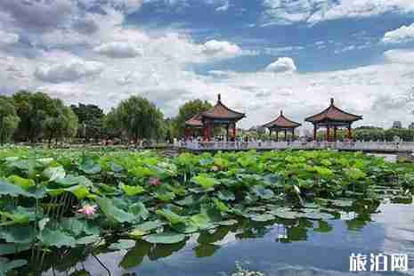 2019五一長春景區活動信息匯總 2019五一長春景區活動信息匯總