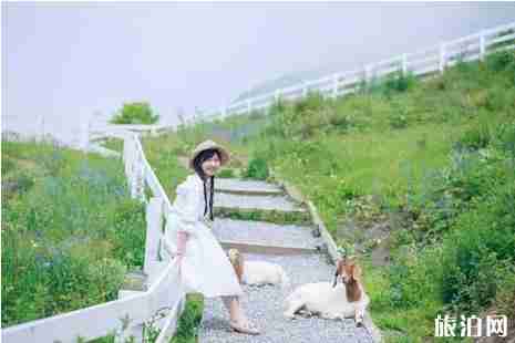 浮云牧場三日游攻略