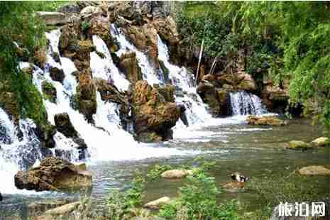 普者黑三天自駕游玩攻略 線路+景點 普者黑三天自駕游玩攻略 線路+景點