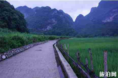 普者黑三天自駕游玩攻略 線路+景點 普者黑三天自駕游玩攻略 線路+景點