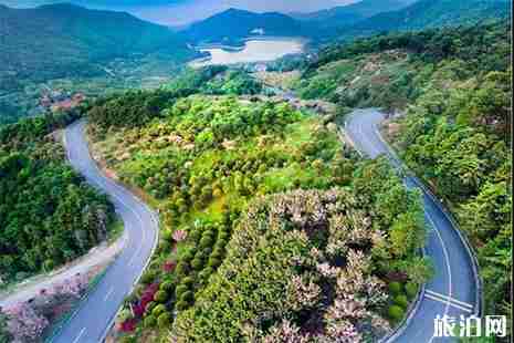 金華山羅店枇杷節5月18日開啟 活動內容+交通指南 金華山羅店枇杷節5月18日開啟 活動內容+交通指南