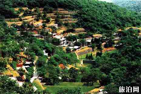 河南露营地点推荐