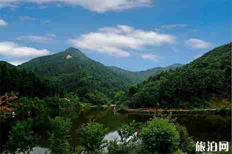 河南露营地点推荐