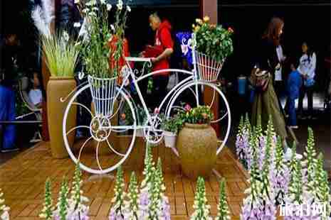 世園會天津日活動內容+游玩線路 世園會天津日活動內容+游玩線路