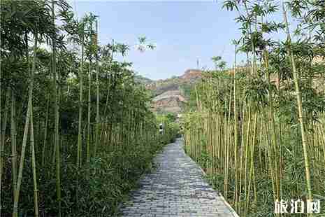 韓城竹園景區游玩攻略